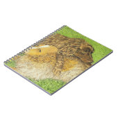 Bezit Notitieboek (Linkerzijde)