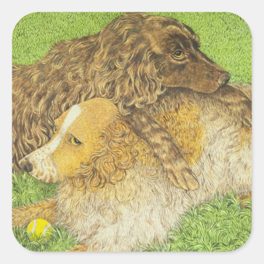 BEZIT VIERKANTE STICKER (Voorkant)