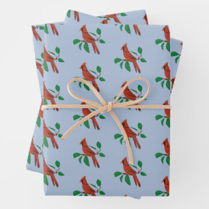 Bezoek aan kardinalen Herdenking in geheugenprint Inpakpapier Vel