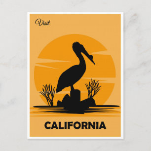 Bezoek California Pelican Travel Briefkaart
