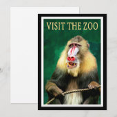 Bezoek de dierentuin, vintage reis poster, (Voorkant / Achterkant)