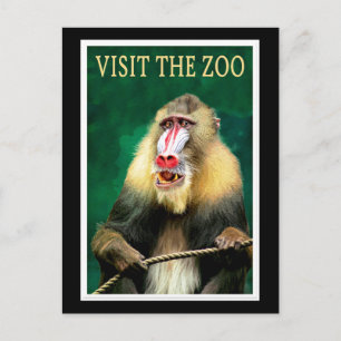 Bezoek de dierentuin, vintage reisposter briefkaart