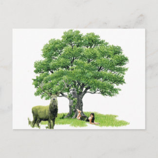 Bezoek met pater Oak Briefkaart