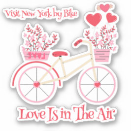 Bezoek New York van Bicycle Love in de lucht Sticker