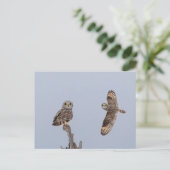 Bezoekers van de Graslanden: Velduilen Briefkaart (Staand voorkant)