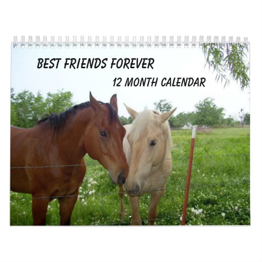 BFF-Best Friends Forever - Calendrier de 12 mois (Protection)