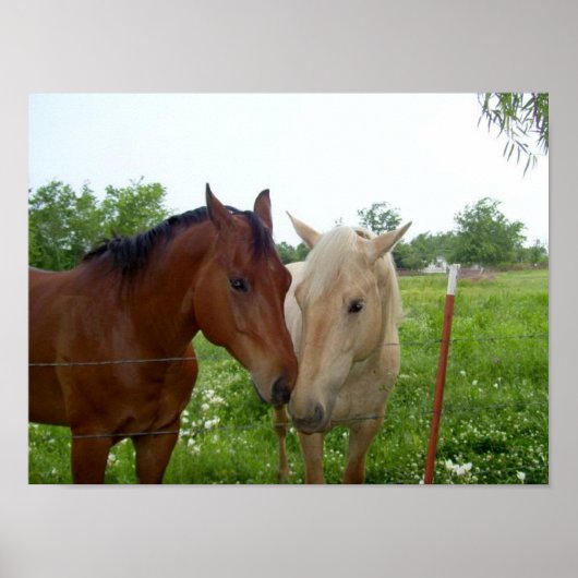 BFF Beste vrienden voor altijd Poster (Voorkant)