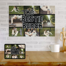 BFF Bestie Brady Bunch Fotocollage Aangepast Poste