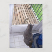 BFF BRIEFKAART (Voorkant)