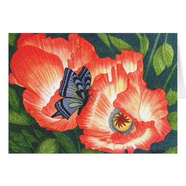 BFLYPOPY (Voorkant Horizontaal)