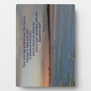 Bhagavad Gita Quote Plaque: "Een die controle heef Fotoplaat