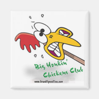 BHCC-magneet Magneet