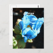 Bhutan Blue Poppy Briefkaart (Voorkant / Achterkant)
