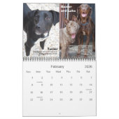 BHVF Rescue 2011-kalender Kalender (Feb 2026)