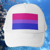 Bi Pride Bold Casquette