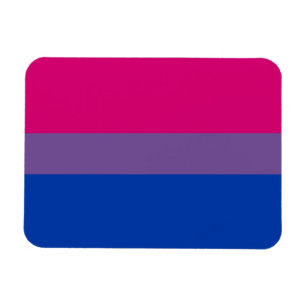 Bi Pride Flag Magnet (Premium) Magneet