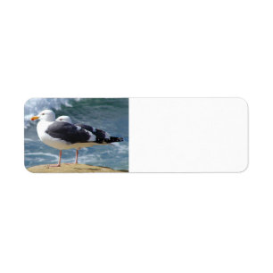 BI VAN DE FOTOGRAFIE VAN HET STRAND VAN DE ROTS ETIKET