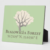 Białowieża Forest Latitude & Longitude Fotoplaat (Zijkant)