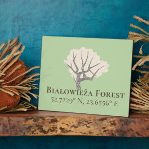 Białowieża Forest Latitude & Longitude Fotoplaat