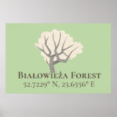 Białowieża Forest Latitude & Longitude Poster (Voorkant)