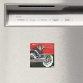 Biarritz-studie Magneet (Insitu (Vaatwasser))