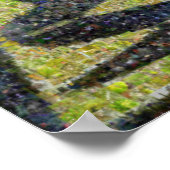 Bibbulmun Track : 2011 : Flora Poster (Hoek)