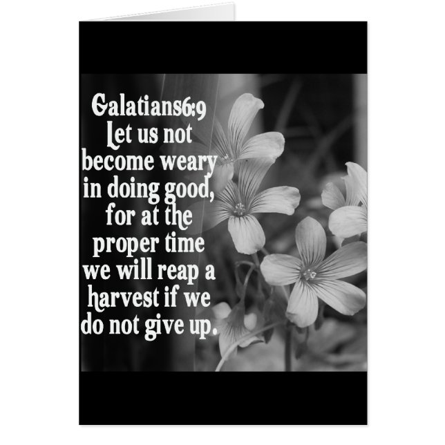 BIBLE SCRIPTURE GALATIANS 6:9 (Voorkant)