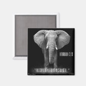 Bible Verse Magnet - Habbukuk (Recto/Verso)