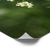 Bible verset sur Amour Ephésiens 4:2-3 Poster (Coin)