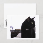 Bibles et impression de carte postale de chat noir (Devant / Derrière)