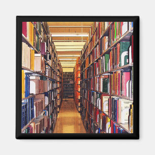 Bibliotheekstatistieken Magneet