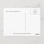 Bibliothèque, Branford, carte postale Ct (Dos)