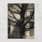 Bibliothèque, Branford, carte postale Ct (Devant)