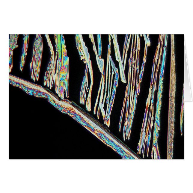 Bicarbonate de potassium (Devant horizontal)