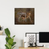 Biche et Faon, Affiche de photo allaitement (Bureau à domicile)
