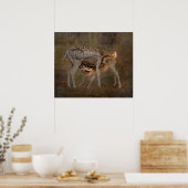 Biche et Faon, Affiche de photo allaitement (Cuisine)