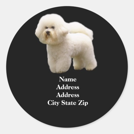 Bichon-adreslabel Ronde Sticker (Voorkant)