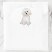 Bichon (B) Ovale Sticker (Tas)
