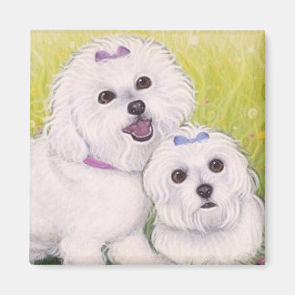 Bichon Baby's Magneet
