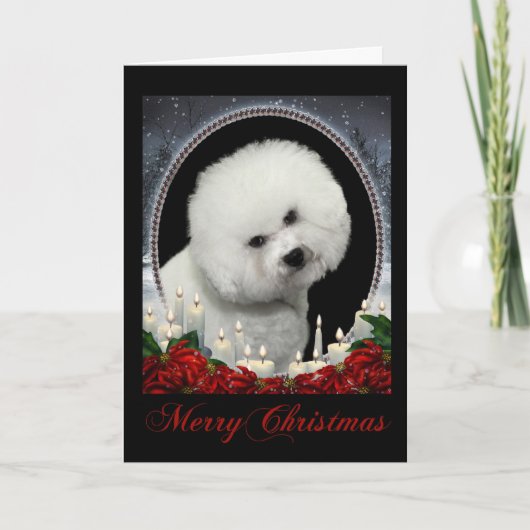 Bichon Christmas Kaart (Voorkant)