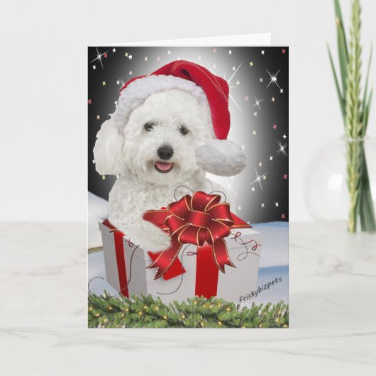 Bichon Christmas Kaarten (Voorkant)