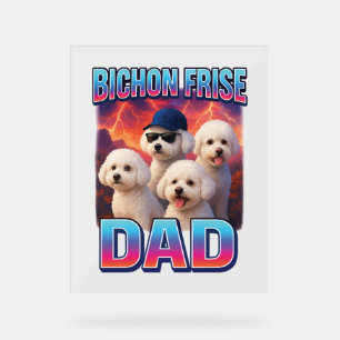 Bichon Frise