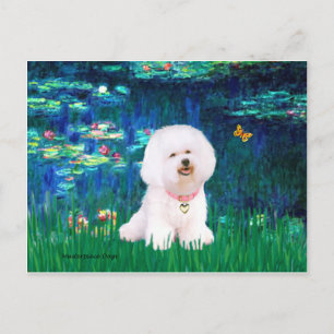 Bichon Frise 1 - Lilies #5 Briefkaart