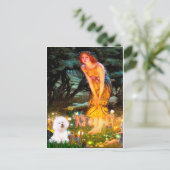 Bichon Frise 1 - MidEve Briefkaart (Staand voorkant)