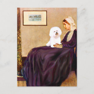 Bichon Frise 1 - Moeder van Whistler Briefkaart