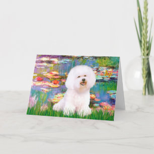 Bichon Frise 1 - Waterlelies 2 Kaart