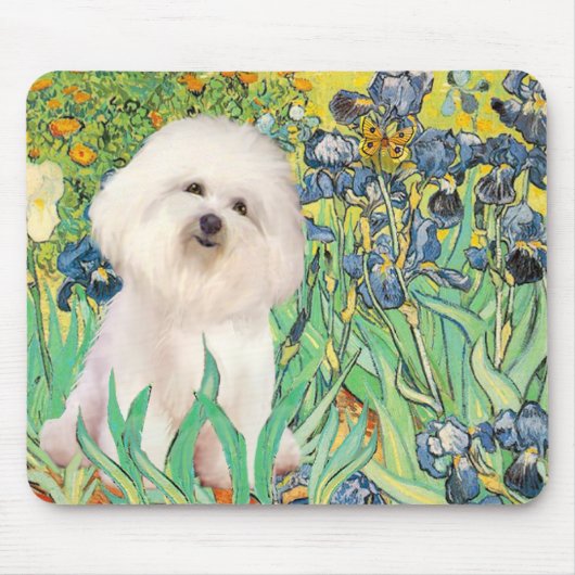 Bichon Frise 4 - Irises Muismat (Voorkant)
