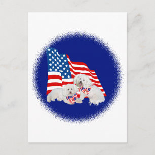 Bichon Frise Amerikaanse Vlag Briefkaart