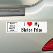 Bichon Frise Bumpersticker (Op auto)