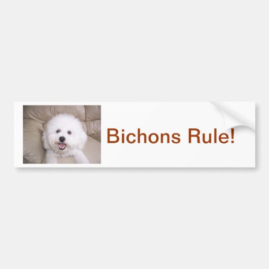 Bichon Frise Bumpersticker (Voorkant)